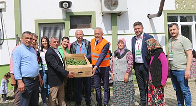 Atakum'da çiftçiye tam destek 30 bin sebze fidesi dağıtıldı