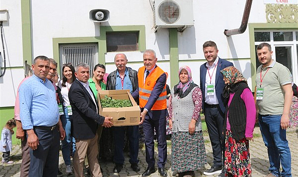 Atakum'da çiftçiye tam destek 30 bin sebze fidesi dağıtıldı