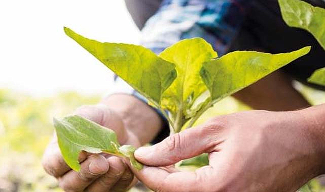 Atakum’da 'kıtlık' paneli düzenlenecek