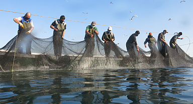 Balıkçılığın yeni yol haritası
