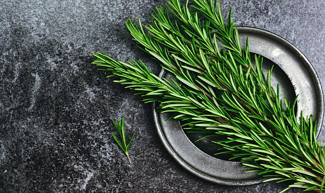 Biberiye bitkisinin sağlıklı faydaları