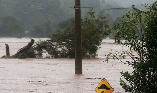Brezilya'da sel felaketi: 8 ölü, 21 kayıp