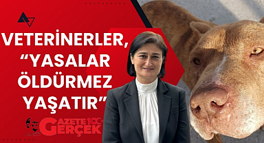 Elif Köse Ayan: 'Yasalar öldürmez, yaşatır'