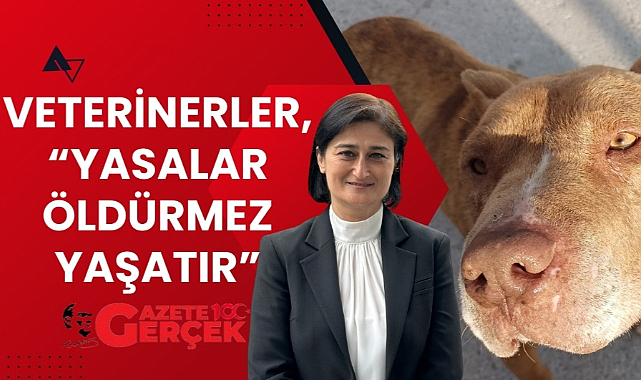 Elif Köse Ayan: 'Yasalar öldürmez, yaşatır'