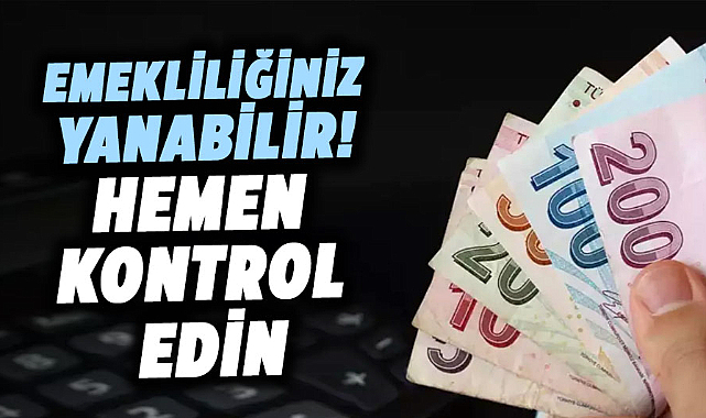 Emekliliğiniz yanabilir! Hemen kontrol edin
