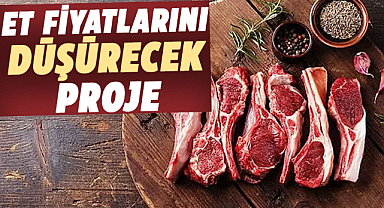 Et fiyatlarını düşürecek proje