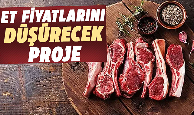 Et fiyatlarını düşürecek proje