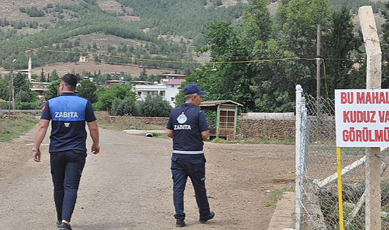 Gaziantep'de kuduz vakasıyla karantina