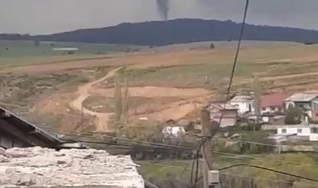 Hortum çıktı ağaçları kökünden söktü