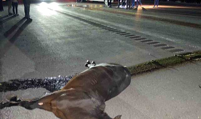 İlginç kaza otobüs ata çarptı