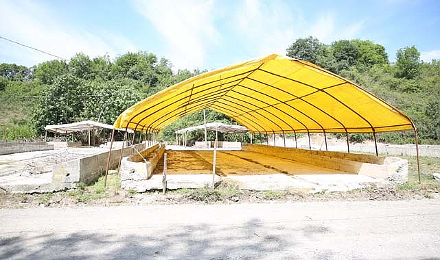 İlkadım'da Kurban Bayramı hazırlıkları başladı