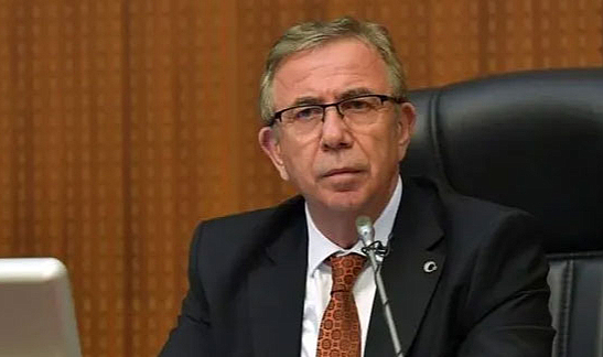 Mansur Yavaş: Sokak köpeklerini sadece kısırlaştırmak yetmez