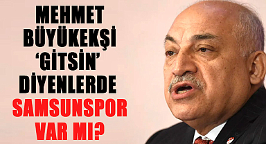 Mehmet Büyükekşi ‘gitsin’ diyenlerde Samsunspor var mı?