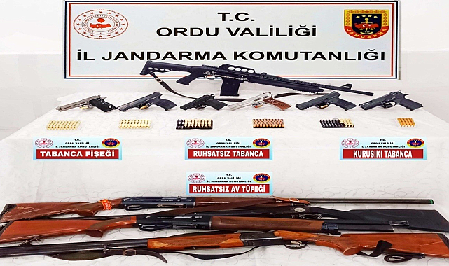 Ordu'da silah kaçakçılığı operasyonunda 1 kişi tutuklandı