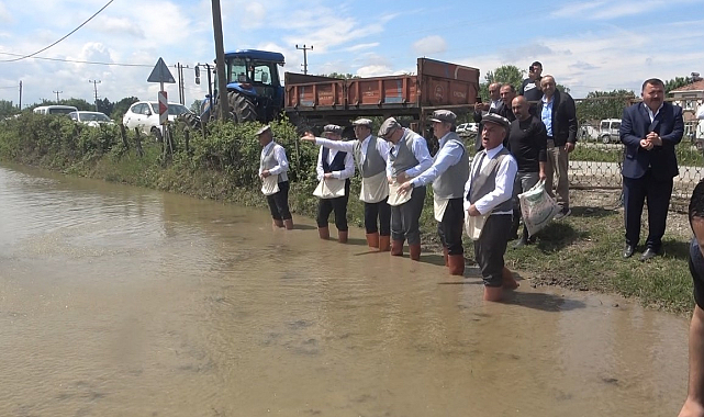 Samsun Bafra Ovası'nda çeltik ekim günü kutlandı