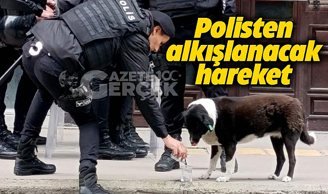 Samsun'da 1 Mayıs'ta polisten alkışlanacak hareket! Sokak köpeğine suyunu verdi