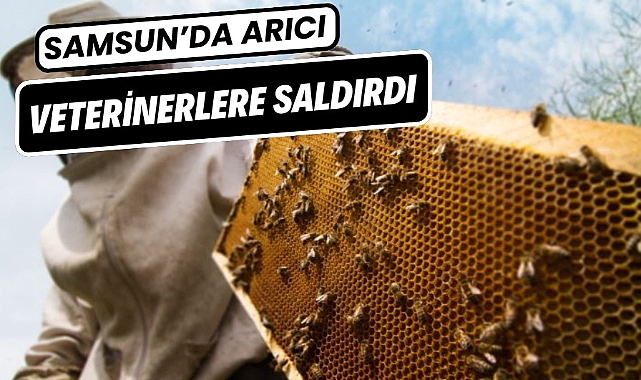 Samsun'da arıcı veteriner hekimlere saldırdı