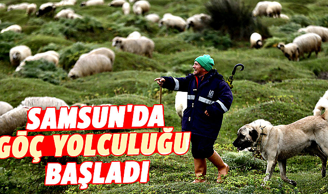 Samsun'da göç yolculuğu başladı