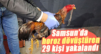 Samsun’da Hayvanları Koruma Derneği’nde horoz dövüştüren 29 kişi yakalandı