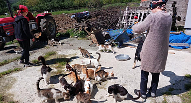 Samsun'da iki kardeş el işi yaparak can dostlara bakıyor