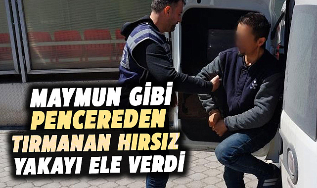 Samsun'da maymun gibi pencereden tırmanan hırsız yakayı ele verdi