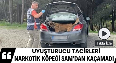 Samsun'da narkotik köpeği SAM uyuşturucu tacirlerinin planlarını bozdu