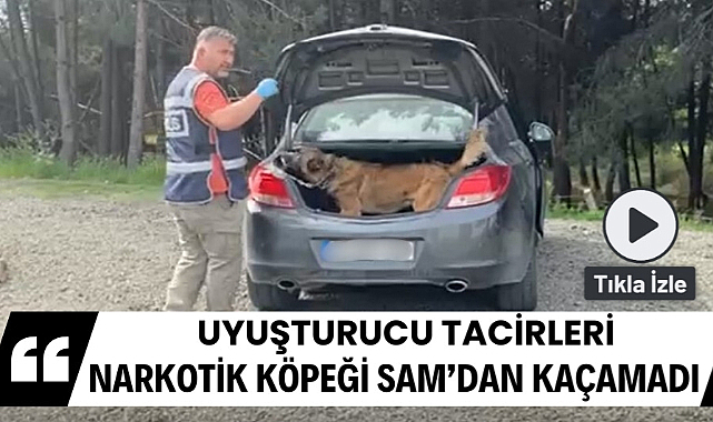 Samsun'da narkotik köpeği SAM uyuşturucu tacirlerinin planlarını bozdu