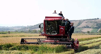 Samsun'da organik tarım hızla yükseliyor