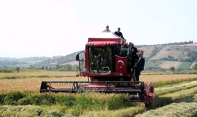 Samsun'da organik tarım hızla yükseliyor