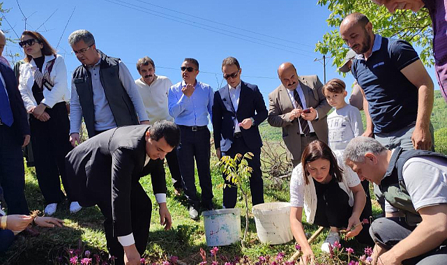 Samsun'da salep markalaşıyor