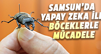 Samsun’da yapay zeka ile böceklerle mücadele