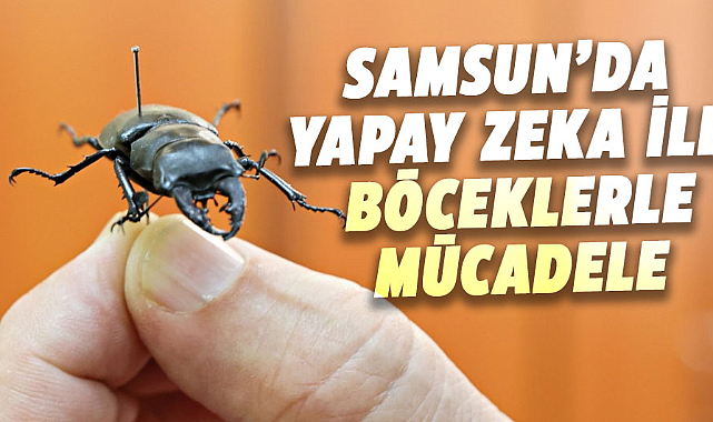 Samsun’da yapay zeka ile böceklerle mücadele