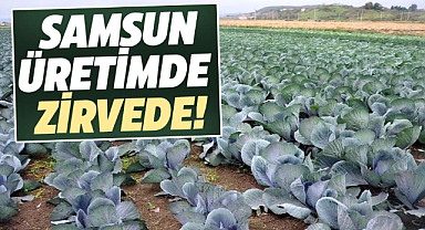 Samsun üretimde zirvede!