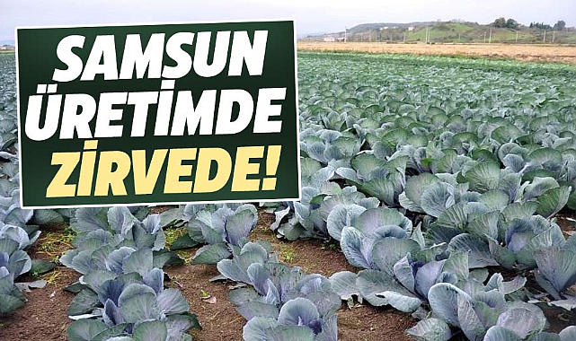 Samsun üretimde zirvede!