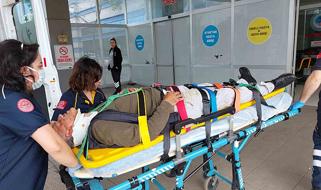 Samsun'da pikniğe giden aile aracıyla birlikte şarampole yuvarlandı