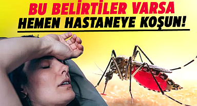 Sıtma alarmı: Uzmanlar uyarıyor!
