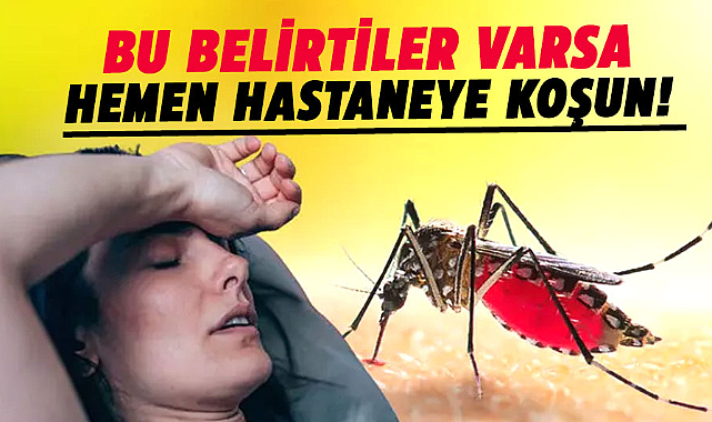 Sıtma alarmı: Uzmanlar uyarıyor!