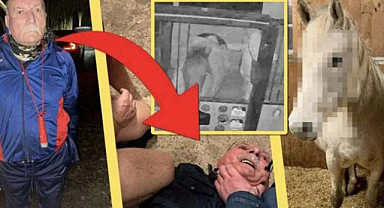 Şok edici olay: PKK'nın belediye başkan yardımcısı ata tecavüz etti!