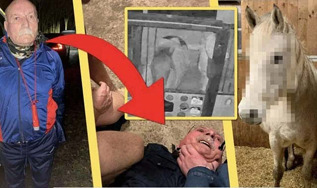 Şok edici olay: PKK'nın belediye başkan yardımcısı ata tecavüz etti!