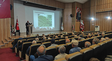 Terme’de fındık için toplandılar