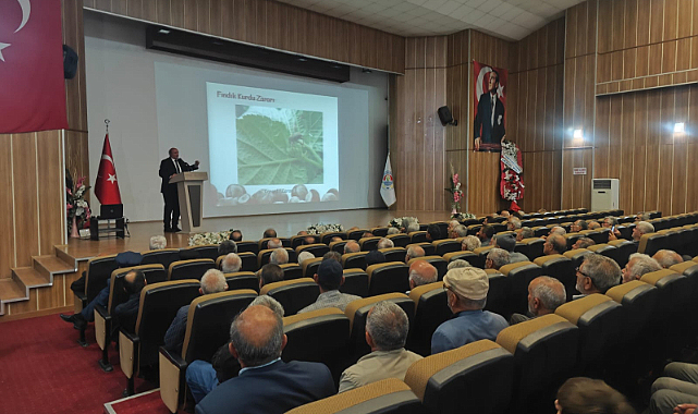 Terme’de fındık için toplandılar