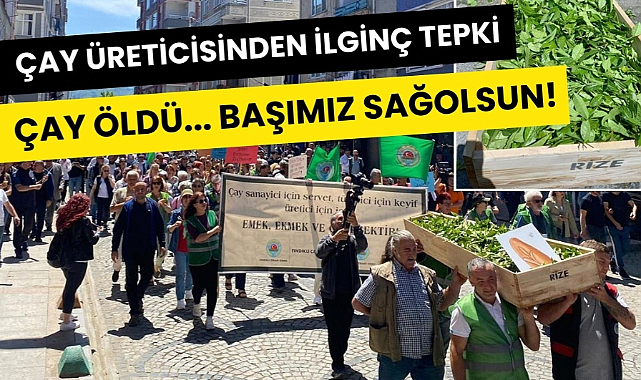 Yaş çay fiyatı açıklandıktan sonra çayı tabuta koydular