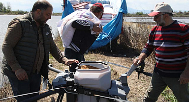 ZİHA'lar Bafra Ovası'nda çeltik ekimini değiştiriyor