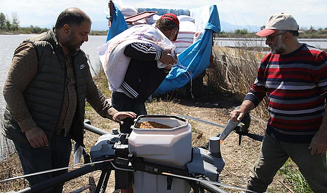 ZİHA'lar Bafra Ovası'nda çeltik ekimini değiştiriyor