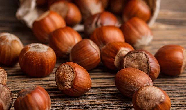 2 Haziran fındık fiyatları bugün ne kadar?