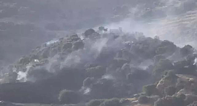 50 dönüm zeytinlik yandı