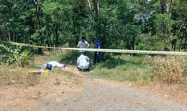 Ağaçlık alanda kadın cesedi bulundu