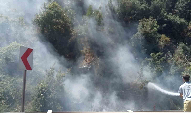 Akli dengesi olmayan vatandaş, ormanı küle çevirecekti