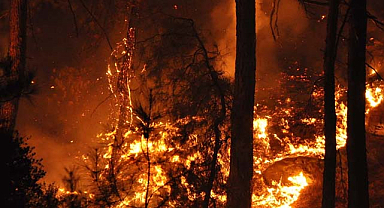 Antalya'da da alevlere karşı mücadele