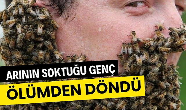 Arı sokması sonrası nefesi kesilen genç ölümden döndü